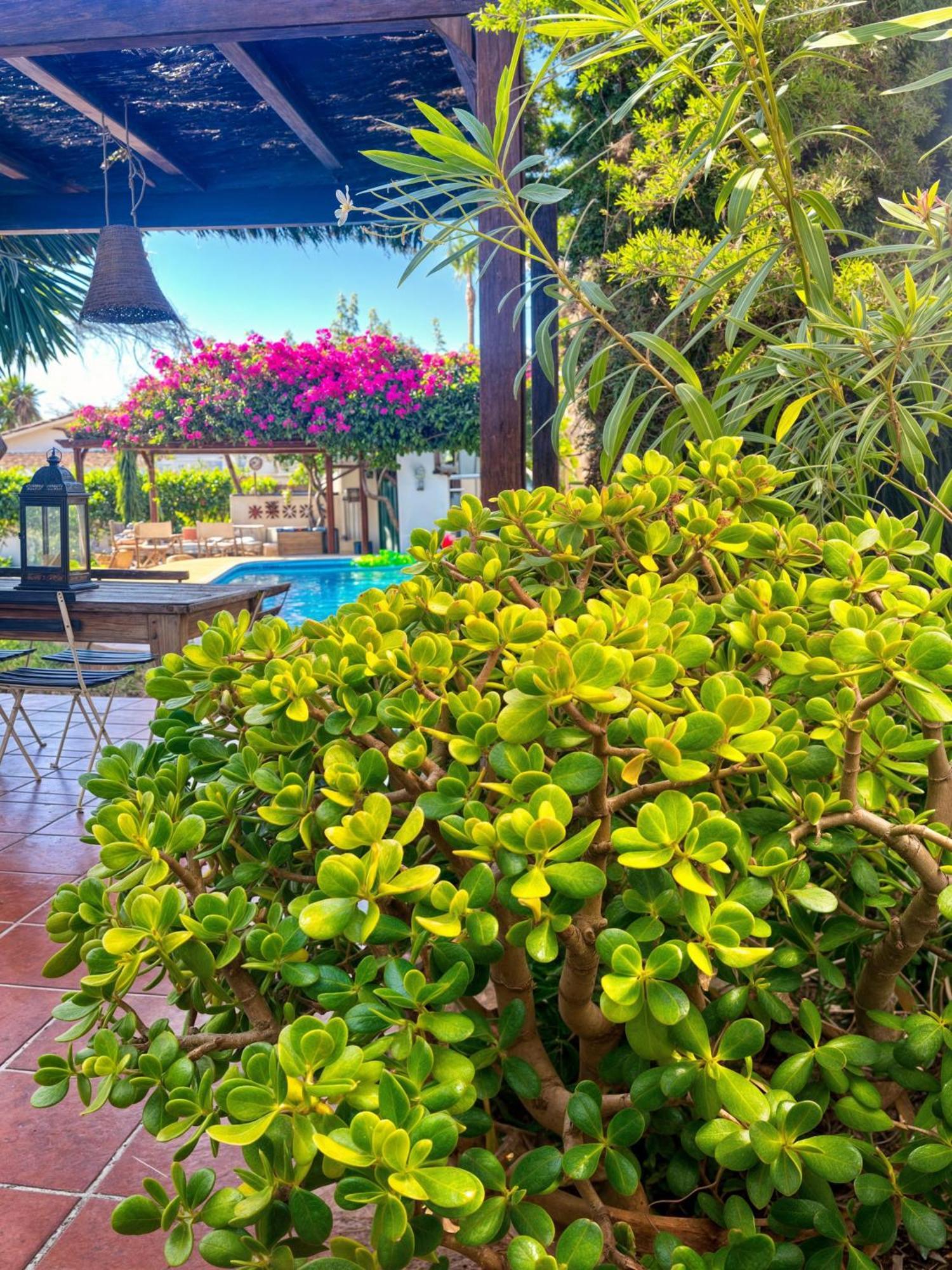 Villa Alfredo - Private Pool Next To The Beach Estepona Eksteriør bilde